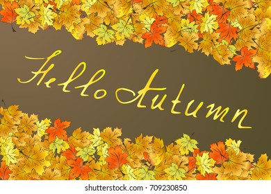 Autumn red yellow maple leaves. Hand-drawn vector illustration. Text in the center Hello Autumn.