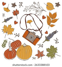 Autumn related elements collection with warm autumn colors