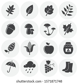 Autumn related icon set on background for graphic and web design. Simple illustration. Internet concept symbol for website button or mobile app.