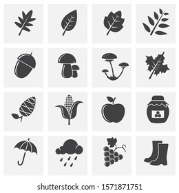 Autumn related icon set on background for graphic and web design. Simple illustration. Internet concept symbol for website button or mobile app.