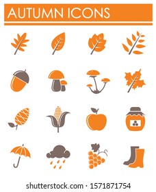 Autumn related icon set on background for graphic and web design. Simple illustration. Internet concept symbol for website button or mobile app.