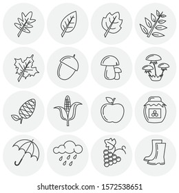 Autumn related icons set on background for graphic and web design. Simple illustration. Internet concept symbol for website button or mobile app.