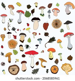 Autumn retro illustration for home textiles.Drawing of a large number of wild mushrooms, nuts, leaves and spruce sticks.