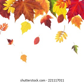 36,574 Oak Leaf Border Images, Stock Photos & Vectors | Shutterstock