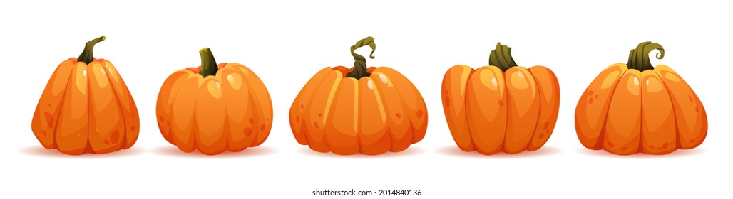 Autumn ripe pumpkin, isolated set of vegetables grown in farm. Nutrition and dieting, symbol of harvest and halloween celebration. Thanksgiving traditions and holiday. Cartoon vector illustration