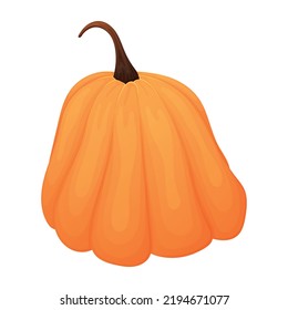 Autumn ripe pumpkin, vector cartoon isolated vegetable illustration.