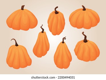 Autumn ripe pumpkin vegetables, set of vector isolated cartoon illustrations, farming and thanksgiving day concept.