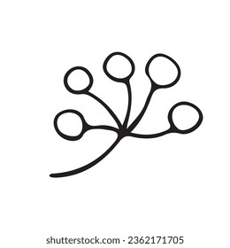 autumn rose hips or wild roses. Winter and autumn vector with twigs. Rose hips or rose bush berries. simple black drawing of plants for stickers, decor, cards, badges, coloring pages, logos. vector