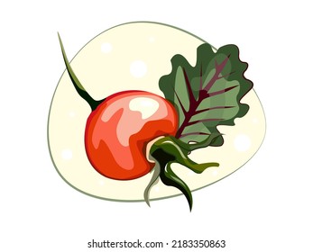 Autumn rosehip berry on the background of an oak leaf.