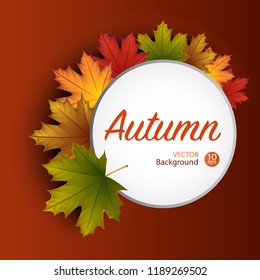 Autumn round banner background with maple leaf