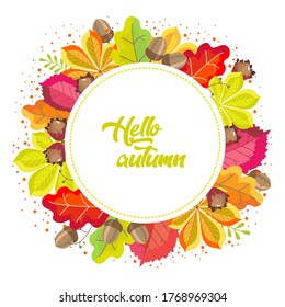 Autumn round frame with the inscription Hello autumn, bright yellow-red leaves of chestnut, oak, hazelnut, hazelnut fruit, acorns. Botanical vector illustration.