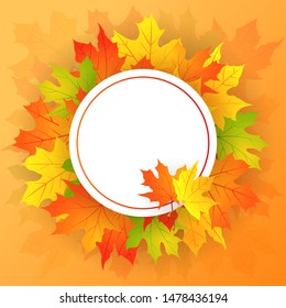 Autumn round frame with maple leaves. Vector sale template with fall leaves