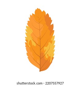Autumn Rowan leaf. Leaf fall. Vector illustration.