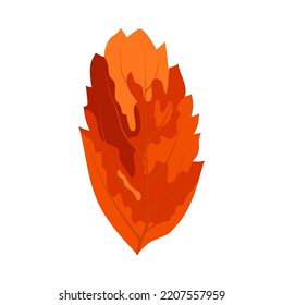 Autumn Rowan leaf. Leaf fall. Vector illustration.