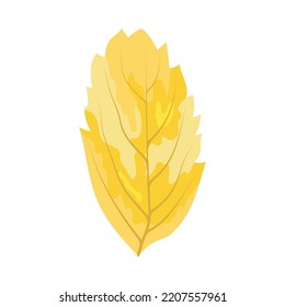 Autumn Rowan leaf. Leaf fall. Vector illustration.