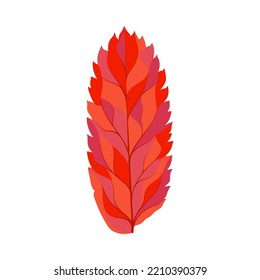 Autumn Rowan leaf. Leaf fall. Vector illustration.
