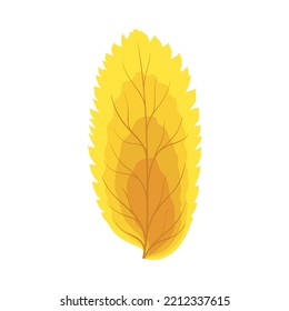 Autumn Rowan leaf. Leaf fall. Vector illustration.