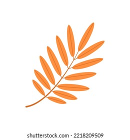 Autumn rowan leaf. Flat vector illustration.