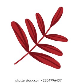 Autumn rowan leaf. Autumn leaf isolated on a white background. Vector illustration. Cozy time concept. Hand drawn illustration for menu, design, banner, flyer.