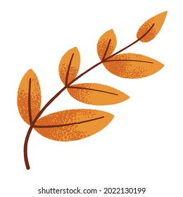 Autumn rowan leaf with texture isolated on a white