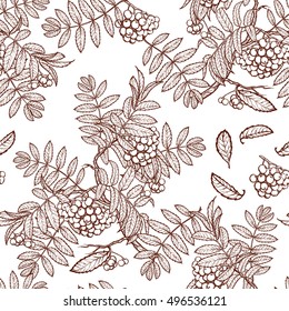 Autumn rowanberry leaves and berries. Detailed intricate hand drawing. Chaotic distribution of elements. Seamless pattern. EPS10 vector illustration.