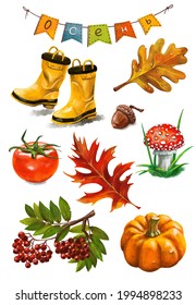 Autumn. Rubber boots, leaves, harvest, pumpkin, tomato, acorn, oak, mushrooms, fly agaric, mountain ash. Watercolour drawing.