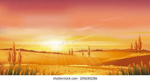 Autumn rural landscape in evening light with sunset, yellow,pink,orange sky background,Vector Cartoon fall season at countryside with forest tree and grass field with sunrise,Backdrop natural banner 