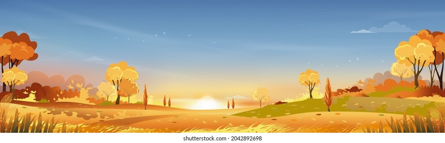 Autumn rural landscape in evening light with sunset, blue and orange sky background,Vector Cartoon fall season at countryside with forest tree and grass field with sunrise,Backdrop natural banner 