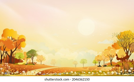 Autumn Rural Landscape In Evening Light With Sunset, Blue And Orange Sky Background,Vector Cartoon Fall Season At Countryside With Forest Tree And Grass Field With Sunrise,Backdrop Natural Banner 