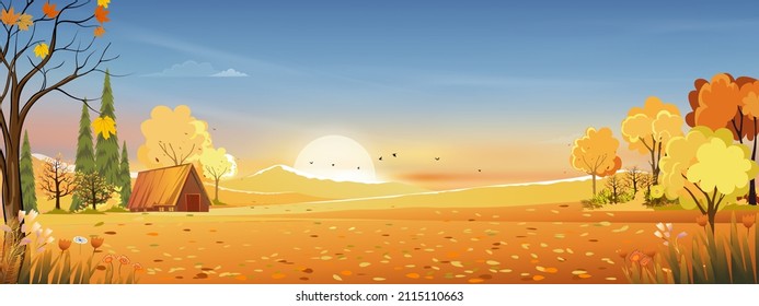 Autumn rural landscape in evening light with sunset, blue and orange sky background,Vector Cartoon fall season at countryside with forest tree and grass field with sunrise,Backdrop natural banner 