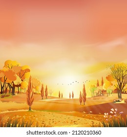 Autumn rural landscape in evening light with sunset, yellow,pink,orange sky background,Vector Cartoon fall season at countryside with forest tree and grass field with sunrise,Backdrop natural banner 