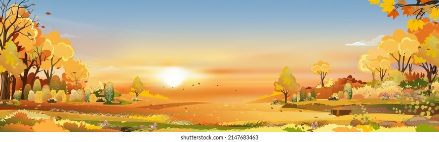 Autumn rural landscape in evening light with sunset, blue and orange sky background,Vector Cartoon fall season at countryside with forest tree and grass field with sunrise,Backdrop natural banner 