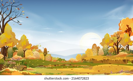 Autumn rural landscape in evening light with sunset, blue and pink sky background,Vector Cartoon fall season at countryside with forest tree and grass field with sunrise,Backdrop banner for Autumnal 