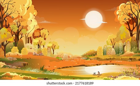 Paisaje rural otoñal en luz nocturna con puesta de sol, amarillo, fondo del cielo naranja,Temporada de otoño de caricatura vectorial en el campo con árbol forestal y campo de hierba con amanecer,Banner de fondo natural 