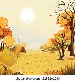 Paisaje rural de otoño a la luz de la tarde con puesta de sol con fondo de cielo amarillo,Vector Cartoon otoño otoño otoño otoño otoño otoño otoño campiña con calabaza de árbol forestal en el campo de césped con amanecer,Otoño cosecha festival