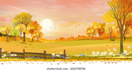 Autumn rural landscape farm fields and forest trees with orange sky sunset, Vector cartoon background fields harvest, Peaceful scenery of natural countryside with sunrise for fall season background