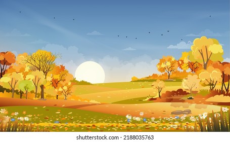 Autumn rural landscape farm fields and forest trees with orange sky sunset,Vector cartoon banner backdrop farm field harvest,Scenery of natural countryside with sunrise for fall season background