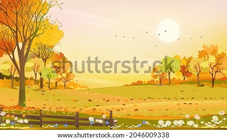 Autumn rural landscape farm fields and forest trees with orange sky sunset, Vector cartoon background fields harvest, Peaceful scenery of natural countryside with sunrise for fall season background
