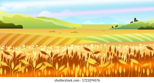 Autumn rural landscape with fields of wheat, hills, sky, clouds. Farming summer harvest view. Countryside nature background for eco products, packages, local farming markets and shops. 