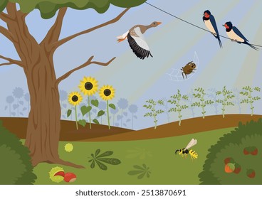 Autumn rural landscape with migrating birds, vector cartoon background. Scenery of natural countryside for fall season. Illustration for kids.