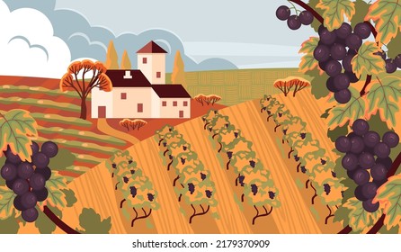 Autumn rural landscape with vineyard and farm buildings. Hills, fields, grapes, skyline and clouds.Colorful background for printing on fabric and paper.Vector flat cartoon illustration background.