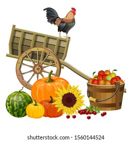 Autumn rural still life with rooster, wooden cart, vegetables and fruits. Vector illustration isolated on white background