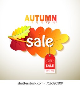 Autumn sale.