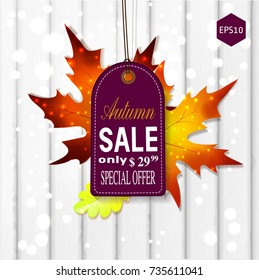 Autumn sale.