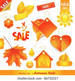 Autumn Sale.