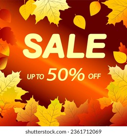 Autumn sale. 50% discount. Vector illustration EPS10	