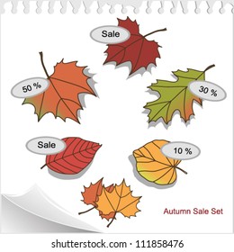 autumn sale background