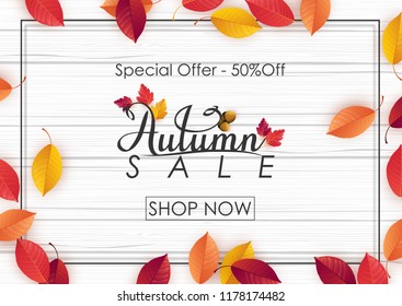 Autumn sale background