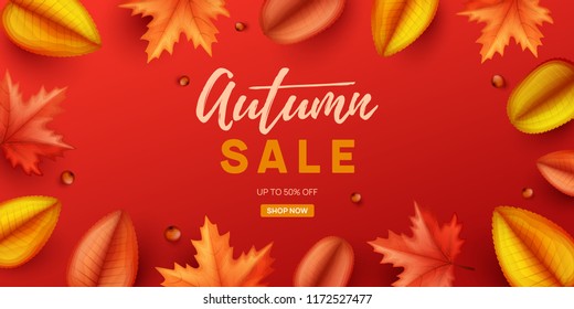 Autumn sale background with colorful leaves. Vector illustration.