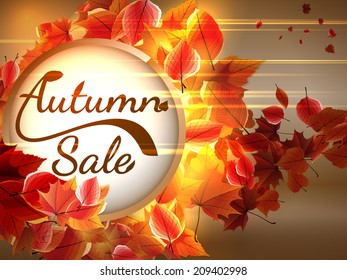 Autumn Sale background with copyspace. plus EPS10 vector file